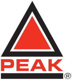 top staffing agency in india